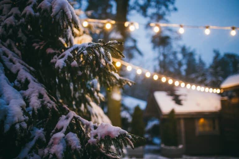 winter and holidays background for new year and christmas. Close up detail of a branch of fir in the snow against the background of a wooden house and a garland of lights shining in the evening